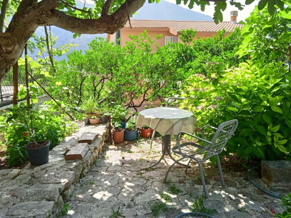 Sottomonte Apartment Kotor Exterior photo