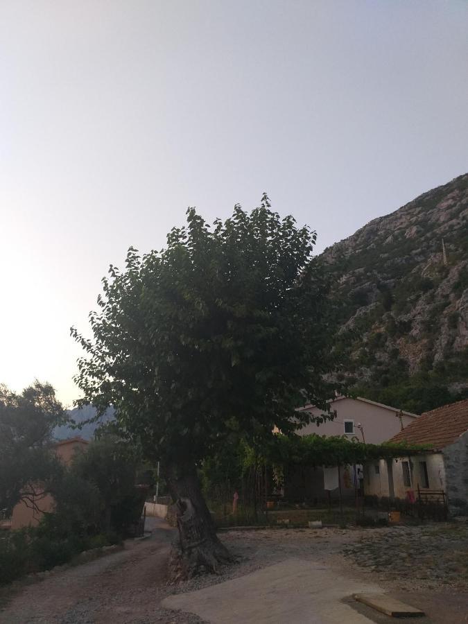 Sottomonte Apartment Kotor Exterior photo